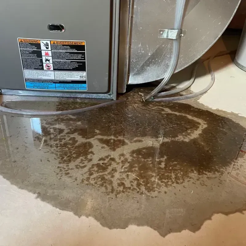 Appliance Leak Cleanup in Lexington, MI